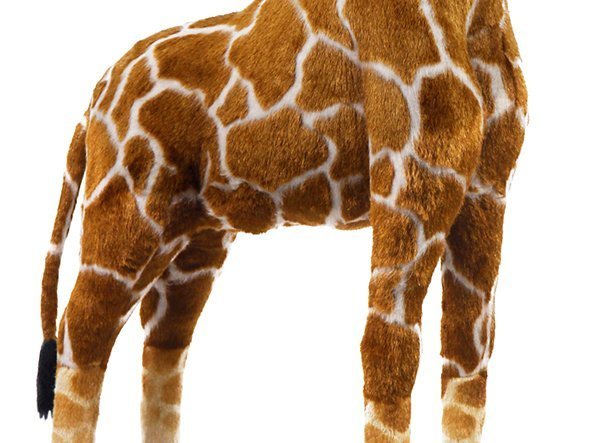 【ハンサ/HANSA / GOODS】のGIRAFFE / キリン 130 人気、トレンドファッション・服の通販 founy(ファニー) 　送料無料　Free Shipping　ハンド　Hand　リアル　Real　other-3|ID: prp329100001236529 ipo3291000000031472049