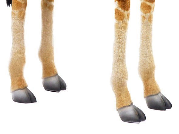 【ハンサ/HANSA / GOODS】のGIRAFFE / キリン 130 人気、トレンドファッション・服の通販 founy(ファニー) 　送料無料　Free Shipping　ハンド　Hand　リアル　Real　other-4|ID: prp329100001236529 ipo3291000000031472050