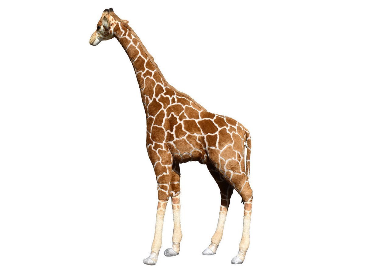 【ハンサ/HANSA / GOODS】のGIRAFFE / キリン 180 人気、トレンドファッション・服の通販 founy(ファニー) 　送料無料　Free Shipping　リアル　Real　other-2|ID: prp329100001236530 ipo3291000000031472033