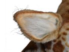 thumbnail other-5