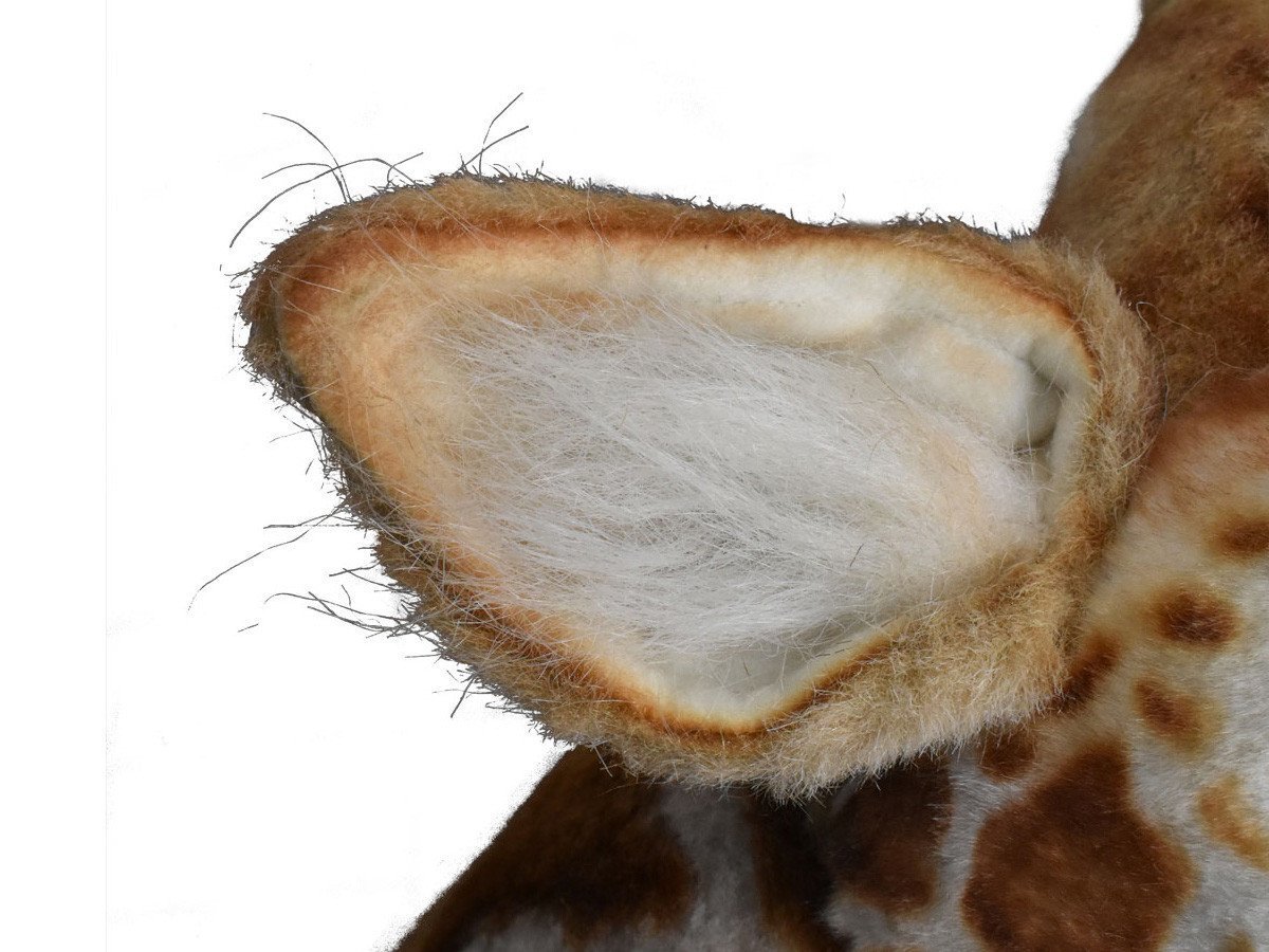 【ハンサ/HANSA / GOODS】のGIRAFFE / キリン 180 人気、トレンドファッション・服の通販 founy(ファニー) 　送料無料　Free Shipping　リアル　Real　other-5|ID: prp329100001236530 ipo3291000000031472036