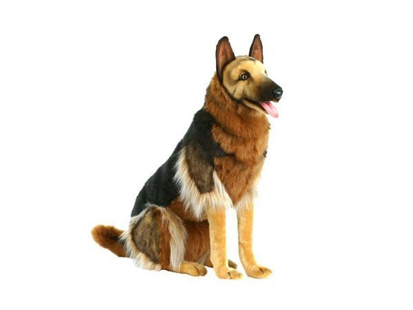 【ハンサ/HANSA / GOODS】のGERMAN SHEPHERD SIT. / ジャーマン・シェパード お座り 100 インテリア・キッズ・メンズ・レディースファッション・服の通販 founy(ファニー) 送料無料 Free Shipping ハンド Hand, Handmade リアル Real, Realistic -|ID: prp329100001236572 ipo3291000000030169508