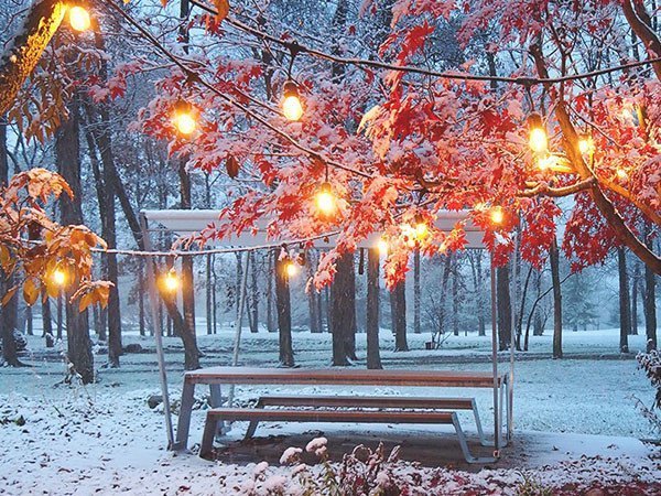 【エクストレミス/extremis / GOODS】のHopper shade / ホッパー・シェード インテリア・キッズ・メンズ・レディースファッション・服の通販 founy(ファニー) 　ガーデン　Garden, Gardening　テーブル　Table, Dining Table　参考イメージ|ID: prp329100001236729 ipo3291000000035323103