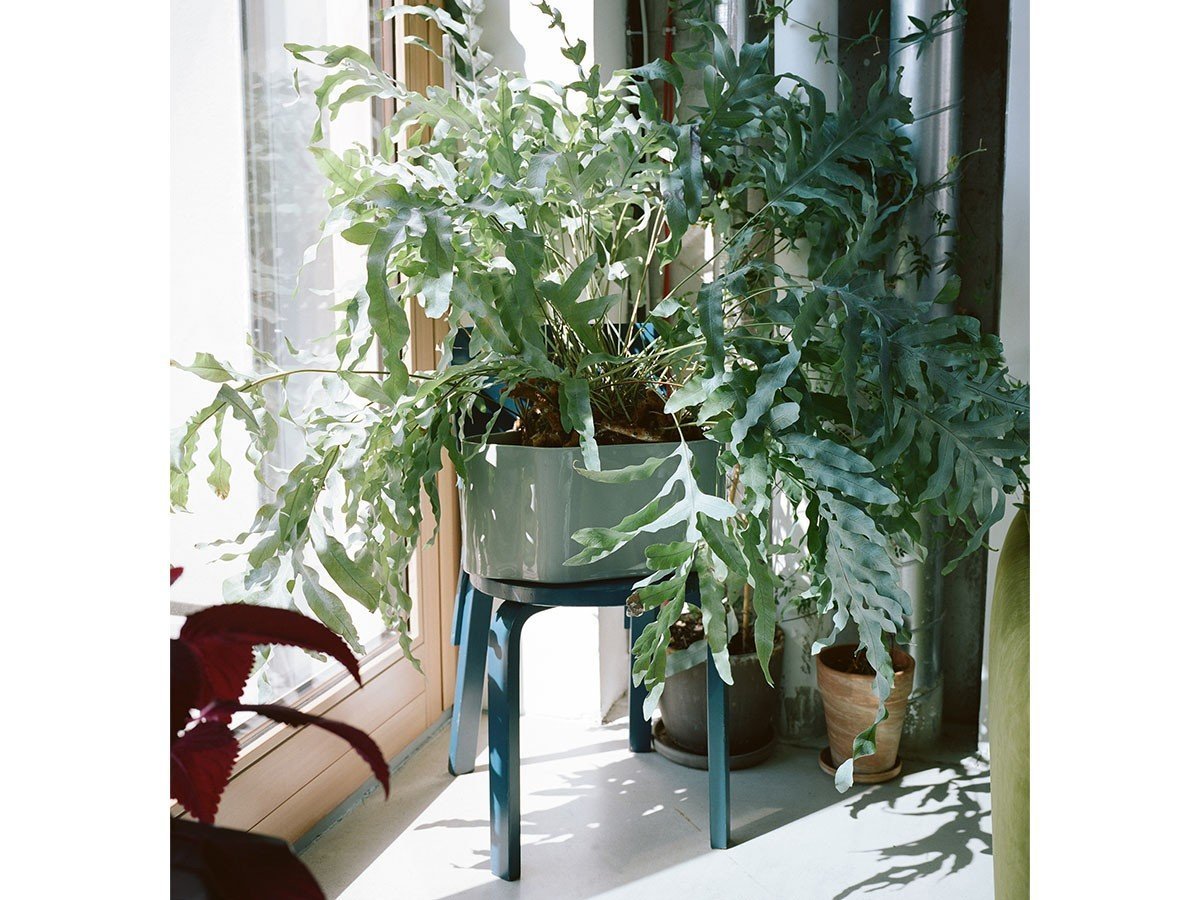 【アルテック/artek / GOODS】のRiihitie Plant Pot A / リーヒティエ プラント ポット A(大) 人気、トレンドファッション・服の通販 founy(ファニー) 　送料無料　Free Shipping　フォルム　Silhouette, Form　ホーム・キャンプ・アウトドア・お取り寄せ　Home Living / Home & Lifestyle / Camping Gear / Outdoor Camping　家具・インテリア　Home Furniture & Interior. Stylish & Functional Living Spaces　その他 インテリア雑貨、家具　Home Decor & Furniture Extras　other-4|ID: prp329100002084948 ipo3291000000031503929