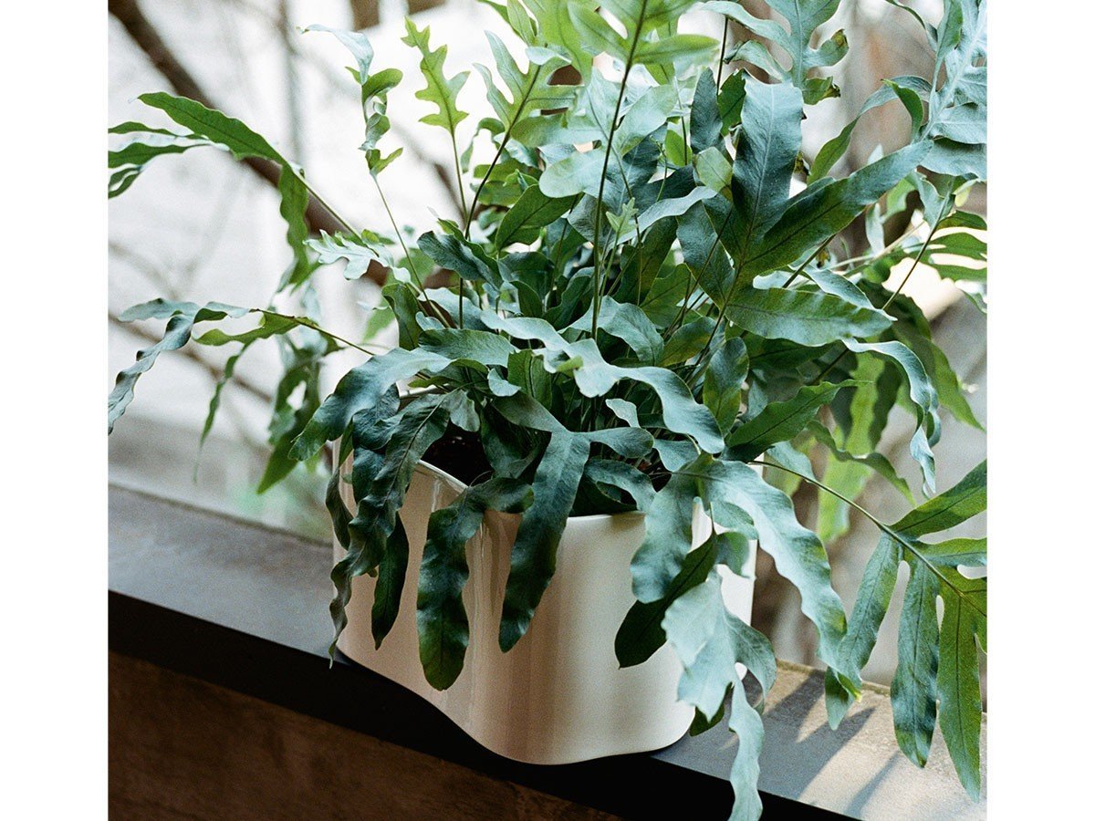 【アルテック/artek / GOODS】のRiihitie Plant Pot B / リーヒティエ プラント ポット B(中) 人気、トレンドファッション・服の通販 founy(ファニー) 　送料無料　Free Shipping　フォルム　Silhouette, Form　ホーム・キャンプ・アウトドア・お取り寄せ　Home Living / Home & Lifestyle / Camping Gear / Outdoor Camping　家具・インテリア　Home Furniture & Interior. Stylish & Functional Living Spaces　その他 インテリア雑貨、家具　Home Decor & Furniture Extras　other-5|ID: prp329100002084949 ipo3291000000031509592