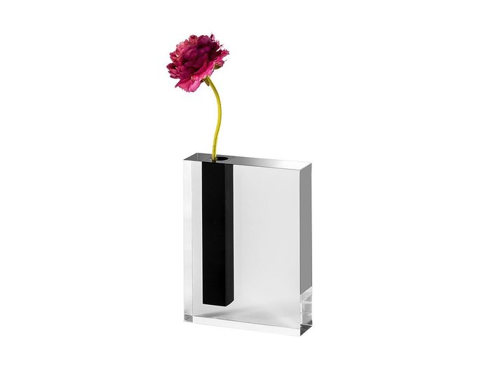 【ワーズウィズ/WAAZWIZ / GOODS】のBLACK LINE flower vase S / ブラックライン フラワーベース スモール インテリア・キッズ・メンズ・レディースファッション・服の通販 founy(ファニー) https://founy.com/ 送料無料 Free Shipping アクリル Acrylic ガラス Glass フラワー Flower ホーム・キャンプ・アウトドア・お取り寄せ Home,Garden,Outdoor,Camping Gear 家具・インテリア Furniture その他 インテリア雑貨、家具 Furniture, Interior, Others |ID: prp329100002139309 ipo3291000000013173572