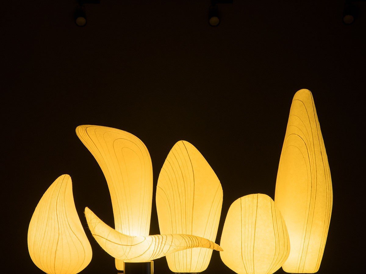 【ホリキエリコ/ERIKO HORIKI / GOODS】のTANE / ライトオブジェ タネ 2-A インテリア・キッズ・メンズ・レディースファッション・服の通販 founy(ファニー) 　送料無料　Free Shipping　ホーム・キャンプ・アウトドア・お取り寄せ　Home Living / Home & Lifestyle / Camping Gear / Outdoor Camping　家具・インテリア　Home Furniture & Interior. Stylish & Functional Living Spaces　ライト・照明　Lamps & Lighting Fixtures　フロアランプ・スタンドライト　Floor Lamp / Standing Lamp　参考イメージ|ID: prp329100002186182 ipo3291000000034640364