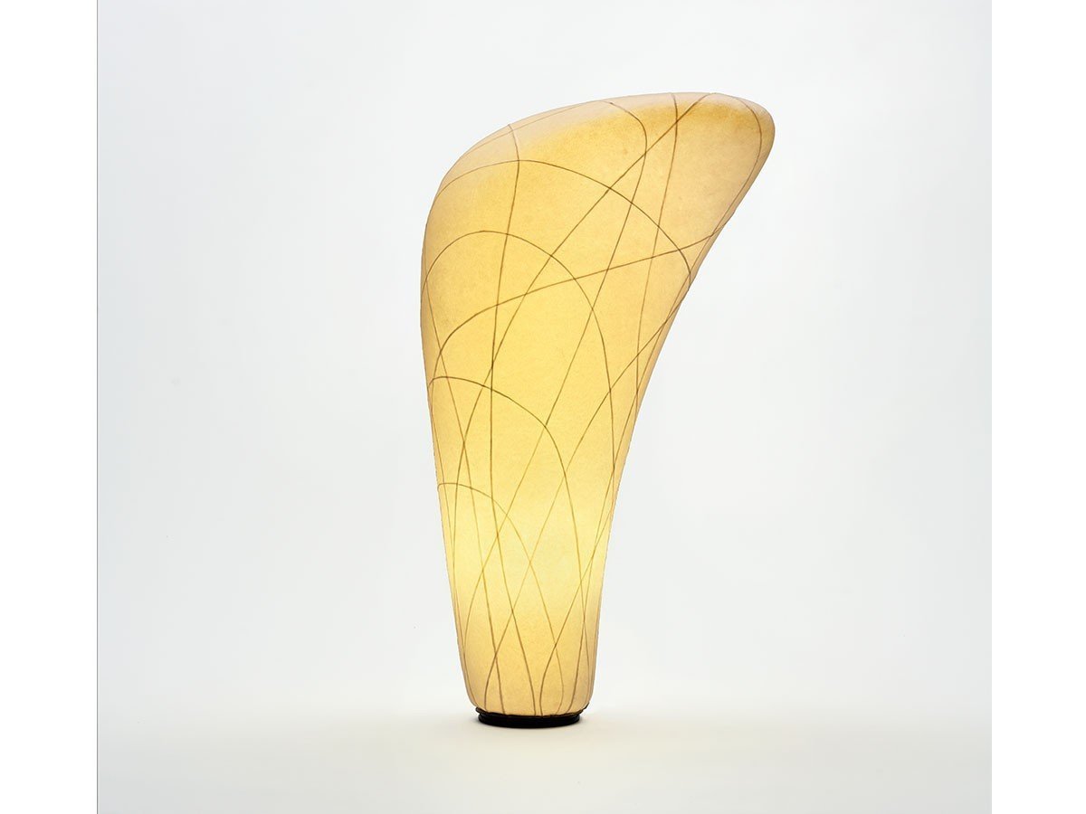 【ホリキエリコ/ERIKO HORIKI / GOODS】のTANE / ライトオブジェ タネ 2-A インテリア・キッズ・メンズ・レディースファッション・服の通販 founy(ファニー) 送料無料 Free Shipping ホーム・キャンプ・アウトドア・お取り寄せ Home Living / Home & Lifestyle / Camping Gear / Outdoor Camping 家具・インテリア Home Furniture & Interior. Stylish & Functional Living Spaces ライト・照明 Lamps & Lighting Fixtures フロアランプ・スタンドライト Floor Lamp / Standing Lamp 点灯時|ID: prp329100002186182 ipo3291000000034768453