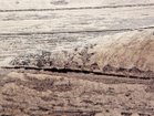 thumbnail other-3