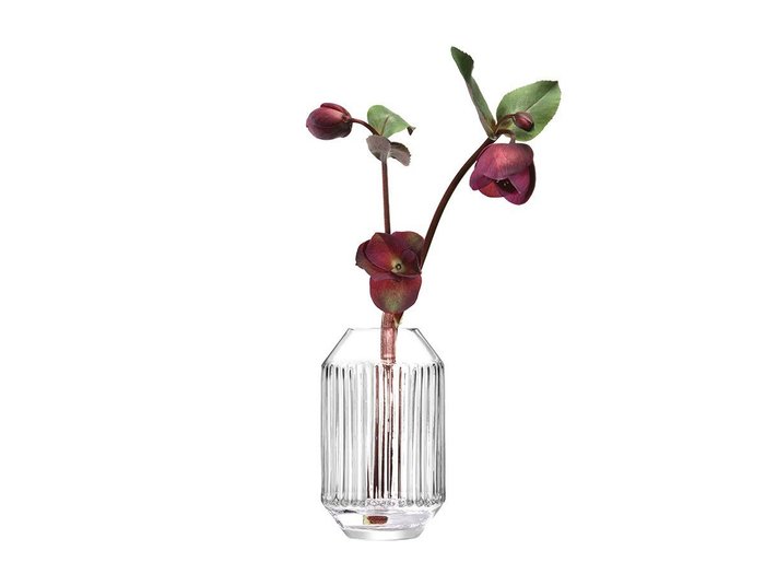 【エルエスエー インターナショナル/LSA international / GOODS】のROTUNDA VASE / ロタンダ ベース 高さ15cm インテリア・キッズ・メンズ・レディースファッション・服の通販 founy(ファニー) https://founy.com/ テクスチャー Texture フラワー Flower プリーツ Pleats モチーフ Motif ホーム・キャンプ・アウトドア・お取り寄せ Home,Garden,Outdoor,Camping Gear 家具・インテリア Home Furniture & Interior. Stylish & Functional Living Spaces その他 インテリア雑貨、家具 Furniture, Interior, Others |ID: prp329100002257018 ipo3291000000030228239