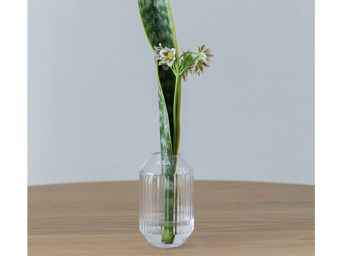 【エルエスエー インターナショナル/LSA international / GOODS】のROTUNDA VASE / ロタンダ ベース 高さ15cm 人気、トレンドファッション・服の通販 founy(ファニー) 　テクスチャー　Texture　フラワー　Flower　プリーツ　Pleats　モチーフ　Motif　ホーム・キャンプ・アウトドア・お取り寄せ　Home,Garden,Outdoor,Camping Gear　家具・インテリア　Home Furniture & Interior. Stylish & Functional Living Spaces　その他 インテリア雑貨、家具　Furniture, Interior, Others　other-5|ID: prp329100002257018 ipo3291000000031505569