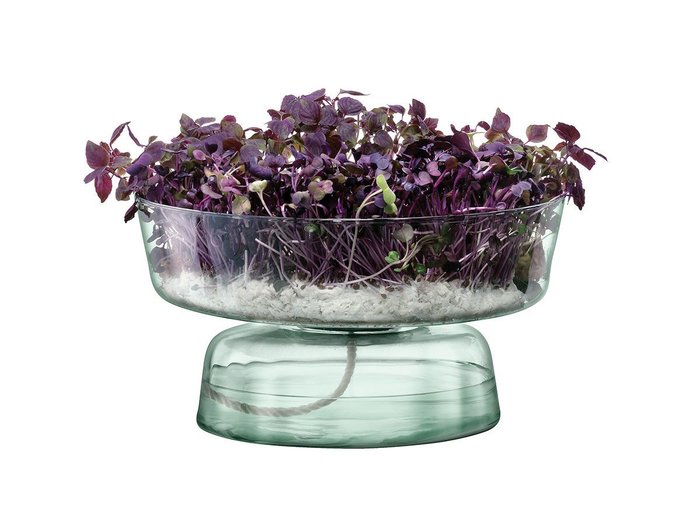 【エルエスエー インターナショナル/LSA international / GOODS】のCANOPY SELF WATERING PLANTER / キャノピー セルフ ウォータリング プランター インテリア・キッズ・メンズ・レディースファッション・服の通販 founy(ファニー) https://founy.com/ 送料無料 Free Shipping ガラス Glass コルク Cork コレクション Collection ハンド Hand ホーム・キャンプ・アウトドア・お取り寄せ Home,Garden,Outdoor,Camping Gear 家具・インテリア Home Furniture & Interior. Stylish & Functional Living Spaces その他 インテリア雑貨、家具 Furniture, Interior, Others |ID: prp329100002321998 ipo3291000000030215436