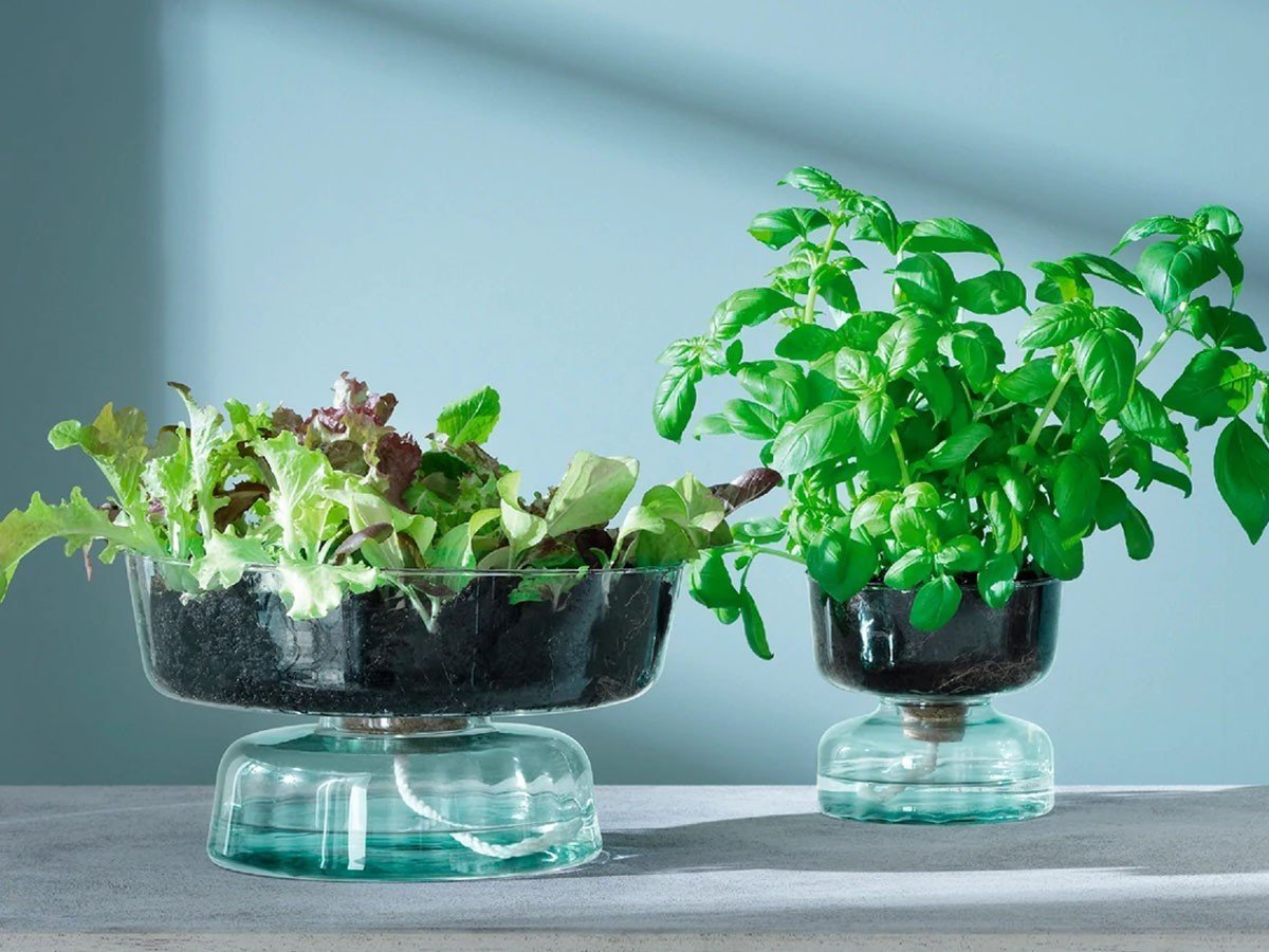 【エルエスエー インターナショナル/LSA international / GOODS】のCANOPY SELF WATERING PLANTER / キャノピー セルフ ウォータリング プランター 人気、トレンドファッション・服の通販 founy(ファニー) 　送料無料　Free Shipping　ガラス　Glass　コルク　Cork　コレクション　Collection　ハンド　Hand　ホーム・キャンプ・アウトドア・お取り寄せ　Home,Garden,Outdoor,Camping Gear　家具・インテリア　Home Furniture & Interior. Stylish & Functional Living Spaces　その他 インテリア雑貨、家具　Furniture, Interior, Others　other-3|ID: prp329100002321998 ipo3291000000031504496