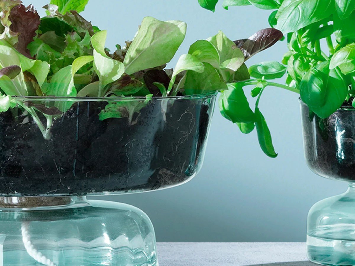 【エルエスエー インターナショナル/LSA international / GOODS】のCANOPY SELF WATERING PLANTER / キャノピー セルフ ウォータリング プランター 人気、トレンドファッション・服の通販 founy(ファニー) 　送料無料　Free Shipping　ガラス　Glass　コルク　Cork　コレクション　Collection　ハンド　Hand　ホーム・キャンプ・アウトドア・お取り寄せ　Home,Garden,Outdoor,Camping Gear　家具・インテリア　Home Furniture & Interior. Stylish & Functional Living Spaces　その他 インテリア雑貨、家具　Furniture, Interior, Others　other-4|ID: prp329100002321998 ipo3291000000031504497