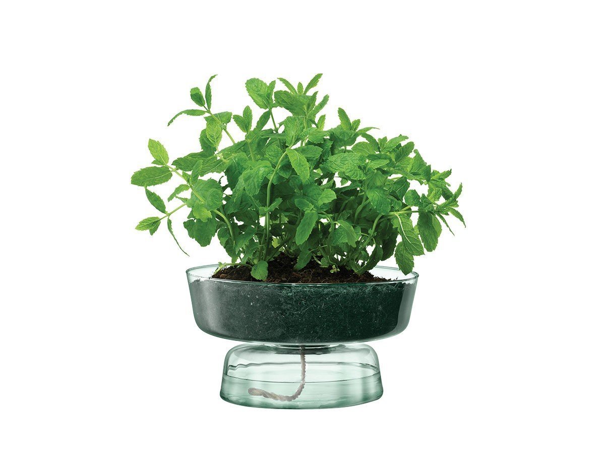 【エルエスエー インターナショナル/LSA international / GOODS】のCANOPY SELF WATERING PLANTER / キャノピー セルフ ウォータリング プランター 人気、トレンドファッション・服の通販 founy(ファニー) 　送料無料　Free Shipping　ガラス　Glass　コルク　Cork　コレクション　Collection　ハンド　Hand　ホーム・キャンプ・アウトドア・お取り寄せ　Home,Garden,Outdoor,Camping Gear　家具・インテリア　Home Furniture & Interior. Stylish & Functional Living Spaces　その他 インテリア雑貨、家具　Furniture, Interior, Others　other-5|ID: prp329100002321998 ipo3291000000031504498