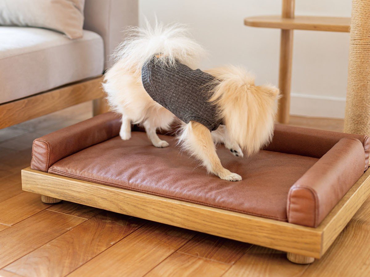 【フミ/Fumi / GOODS】のペットのベッド / ペットのベッド Mサイズ 人気、トレンドファッション・服の通販 founy(ファニー) 送料無料 Free Shipping ファブリック Fabric, Textile ヴィンテージ Vintage Style 洗える Machine Washable ホーム・キャンプ・アウトドア・お取り寄せ Home Living / Home & Lifestyle / Camping Gear / Outdoor Camping 家具・インテリア Home Furniture & Interior. Stylish & Functional Living Spaces その他 インテリア雑貨、家具 Home Decor & Furniture Extras other-3|ID: prp329100002391813 ipo3291000000031503766