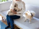 【フミ/Fumi / GOODS】の無駄のないソファ +pet / 無駄のないソファ ベース(ペット対応生地) 人気、トレンドファッション・服の通販 founy(ファニー) クッション Cushion コンパクト Compact スウェード Suede フラット Flat ホーム・キャンプ・アウトドア・お取り寄せ Home,Garden,Outdoor,Camping Gear 家具・インテリア Furniture その他 インテリア雑貨、家具 Furniture, Interior, Others thumbnail 本商品は、ペットの爪が引っかかりにくく、お手入れもしやすい張地を使用したモデルです(参考イメージ)|ID: prp329100002391819 ipo3291000000030205054