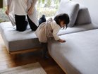 【フミ/Fumi / GOODS】の無駄のないソファ +pet / 無駄のないソファ ベース(ペット対応生地) 人気、トレンドファッション・服の通販 founy(ファニー) クッション Cushion コンパクト Compact スウェード Suede フラット Flat ホーム・キャンプ・アウトドア・お取り寄せ Home,Garden,Outdoor,Camping Gear 家具・インテリア Furniture その他 インテリア雑貨、家具 Furniture, Interior, Others thumbnail 参考イメージ|ID: prp329100002391819 ipo3291000000030205250