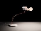 【インゴ マウラー/INGO MAURER / GOODS】のLucellino Table Ambient LED / ルーチェリーノ テーブル アンビエント LED 人気、トレンドファッション・服の通販 founy(ファニー) 送料無料 Free Shipping イタリア Italy テーブル Table, Dining Table モチーフ Motif, Design Theme ホーム・キャンプ・アウトドア・お取り寄せ Home Living / Home & Lifestyle / Camping Gear / Outdoor Camping 家具・インテリア Home Furniture & Interior. Stylish & Functional Living Spaces ライト・照明 Lamps & Lighting Fixtures thumbnail -|ID: prp329100002496286 ipo3291000000033203960