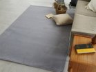 【フライミー ベーシック/FLYMEe BASIC / GOODS】のRug / ラグ #111479 人気、トレンドファッション・服の通販 founy(ファニー) 送料無料 Free Shipping シンプル Simple エレガント 上品 Elegant ホーム・キャンプ・アウトドア・お取り寄せ Home,Garden,Outdoor,Camping Gear 家具・インテリア Furniture その他 インテリア雑貨、家具 Furniture, Interior, Others thumbnail ブルーグレー|ID: prp329100002664796 ipo3291000000030228188