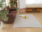 【フライミー ベーシック/FLYMEe BASIC / GOODS】のRug / ラグ #111479 人気、トレンドファッション・服の通販 founy(ファニー) 送料無料 Free Shipping シンプル Simple エレガント 上品 Elegant ホーム・キャンプ・アウトドア・お取り寄せ Home,Garden,Outdoor,Camping Gear 家具・インテリア Furniture その他 インテリア雑貨、家具 Furniture, Interior, Others thumbnail アッシュグリーン|ID: prp329100002664796 ipo3291000000030228644