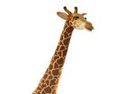 【ハンサ/HANSA / GOODS】のGIRAFFE / キリン 280 ハンドメイドならではの個性と愛嬌のある表情が魅力です。|ID:prp329100002710585