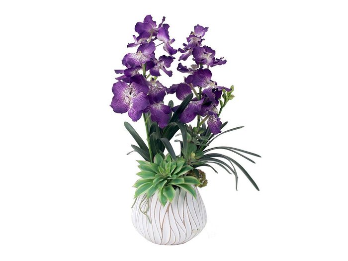 【エミリオロバ/EMILIO ROBBA】のVANDA BOTANIC / バンダボタニック pu-XL インテリア・キッズ・メンズ・レディースファッション・服の通販 founy(ファニー) https://founy.com/ 送料無料 Free Shipping コレクション Collection, Seasonal Line ボタニカル Botanical, Floral Pattern リアル Real, Realistic ホーム・キャンプ・アウトドア・お取り寄せ Home Living / Home & Lifestyle / Camping Gear / Outdoor Camping 家具・インテリア Home Furniture & Interior. Stylish & Functional Living Spaces その他 インテリア雑貨、家具 Home Decor & Furniture Extras |ID: prp329100002770763 ipo3291000000030475444