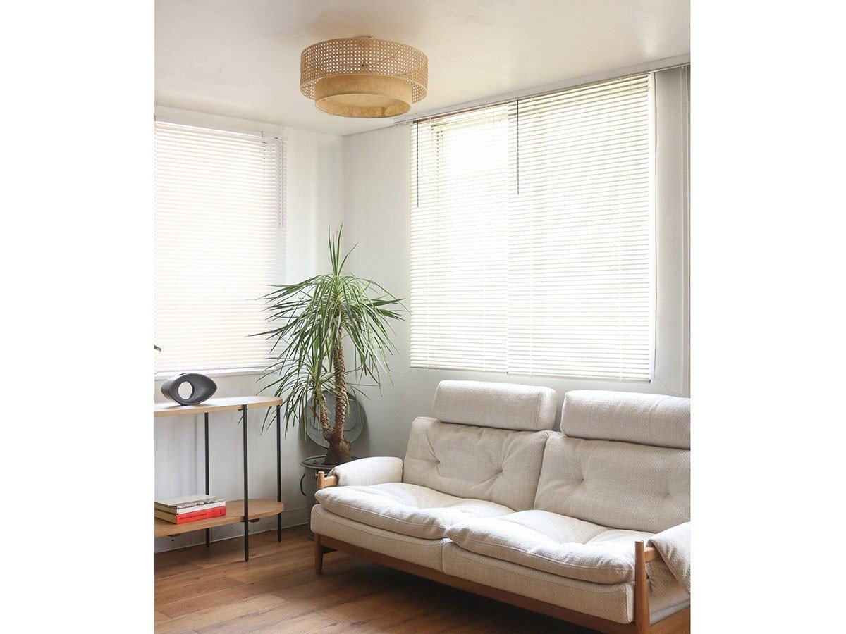 【ジャーナルスタンダード ファニチャー/journal standard Furniture / GOODS】のDAFNE CEILING LAMP / ダフネ シーリングランプ 人気、トレンドファッション・服の通販 founy(ファニー) 　送料無料　Free Shipping　シンプル　Simple　ペーパー　Paper　ボタニカル　Botanical　ラタン　Rattan　リゾート　Resort　ホーム・キャンプ・アウトドア・お取り寄せ　Home,Garden,Outdoor,Camping Gear　家具・インテリア　Home Furniture & Interior. Stylish & Functional Living Spaces　ライト・照明　Lighting & Light Fixtures　シーリングライト　Ceiling Light　other-2|ID: prp329100002770791 ipo3291000000031494150