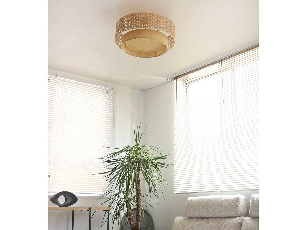 【ジャーナルスタンダード ファニチャー/journal standard Furniture / GOODS】のDAFNE CEILING LAMP / ダフネ シーリングランプ 人気、トレンドファッション・服の通販 founy(ファニー) 　送料無料　Free Shipping　シンプル　Simple　ペーパー　Paper　ボタニカル　Botanical　ラタン　Rattan　リゾート　Resort　ホーム・キャンプ・アウトドア・お取り寄せ　Home,Garden,Outdoor,Camping Gear　家具・インテリア　Home Furniture & Interior. Stylish & Functional Living Spaces　ライト・照明　Lighting & Light Fixtures　シーリングライト　Ceiling Light　other-3|ID: prp329100002770791 ipo3291000000031494151