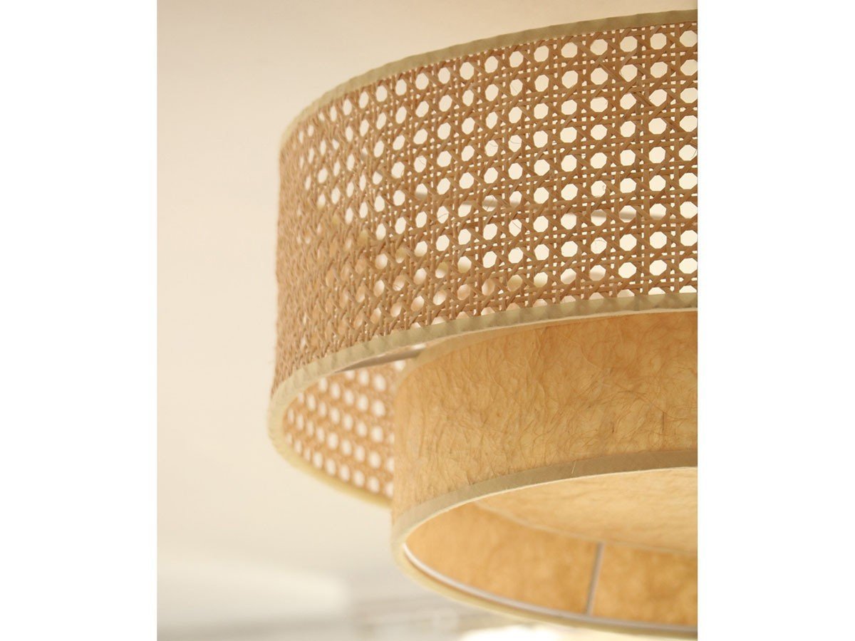 【ジャーナルスタンダード ファニチャー/journal standard Furniture / GOODS】のDAFNE CEILING LAMP / ダフネ シーリングランプ 人気、トレンドファッション・服の通販 founy(ファニー) 　送料無料　Free Shipping　シンプル　Simple　ペーパー　Paper　ボタニカル　Botanical　ラタン　Rattan　リゾート　Resort　ホーム・キャンプ・アウトドア・お取り寄せ　Home,Garden,Outdoor,Camping Gear　家具・インテリア　Home Furniture & Interior. Stylish & Functional Living Spaces　ライト・照明　Lighting & Light Fixtures　シーリングライト　Ceiling Light　other-5|ID: prp329100002770791 ipo3291000000031494153