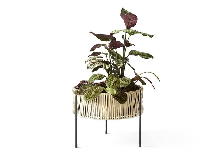 【オード コペンハーゲン/Audo Copenhagen / GOODS】のUmanoff Planter / ウマノフ プランター 高さ32.5cm インテリア・キッズ・メンズ・レディースファッション・服の通販 founy(ファニー) https://founy.com/ 送料無料 Free Shipping エレガント 上品 Elegant コーティング Coating シンプル Simple パウダー Powder ラタン Rattan 手編み Hand Knitting ホーム・キャンプ・アウトドア・お取り寄せ Home,Garden,Outdoor,Camping Gear 家具・インテリア Furniture その他 インテリア雑貨、家具 Furniture, Interior, Others |ID: prp329100002863713 ipo3291000000030236509