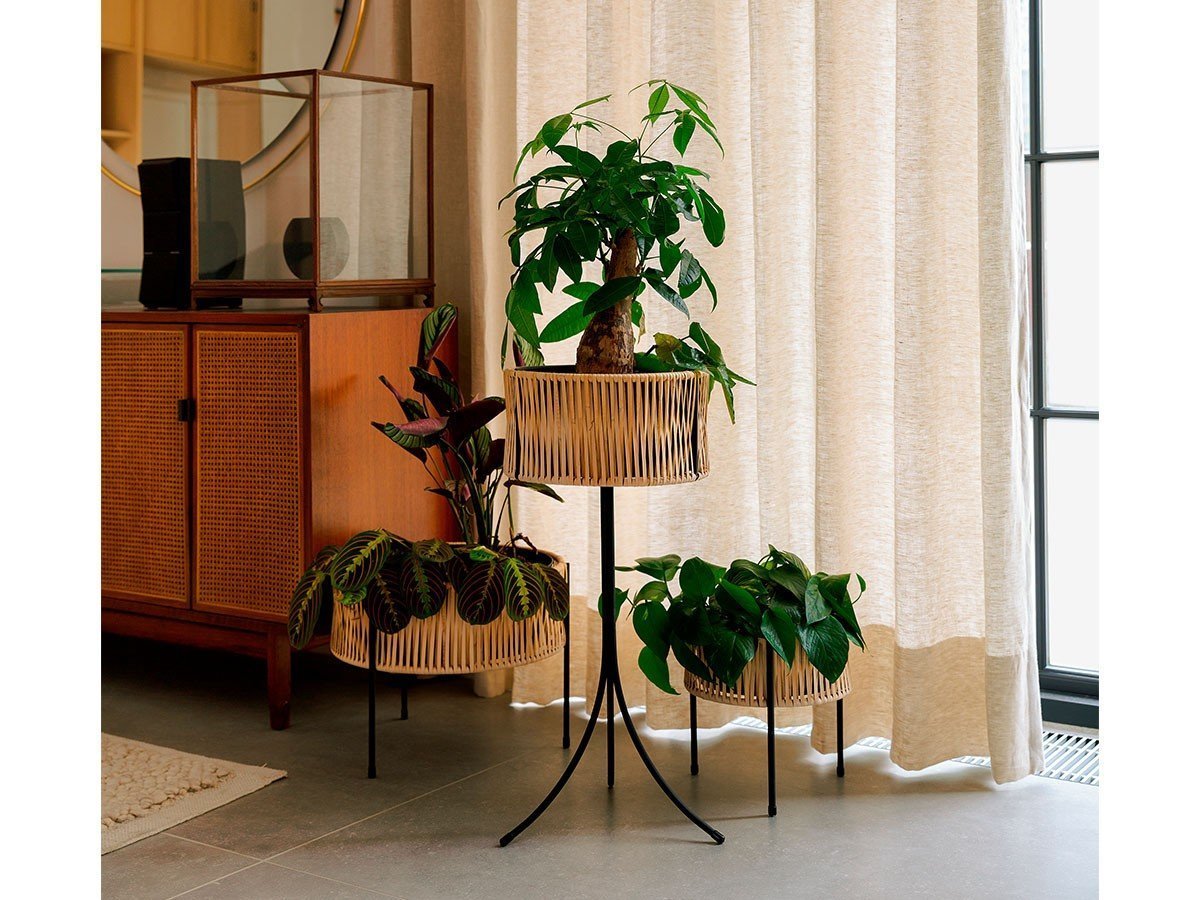 【オード コペンハーゲン/Audo Copenhagen / GOODS】のUmanoff Planter / ウマノフ プランター 高さ32.5cm 人気、トレンドファッション・服の通販 founy(ファニー) 　送料無料　Free Shipping　エレガント 上品　Elegant　コーティング　Coating　シンプル　Simple　パウダー　Powder　ラタン　Rattan　手編み　Hand Knitting　ホーム・キャンプ・アウトドア・お取り寄せ　Home,Garden,Outdoor,Camping Gear　家具・インテリア　Home Furniture & Interior. Stylish & Functional Living Spaces　その他 インテリア雑貨、家具　Furniture, Interior, Others　other-3|ID: prp329100002863713 ipo3291000000031499220