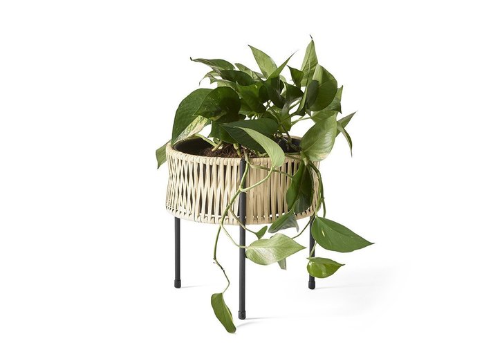 【オード コペンハーゲン/Audo Copenhagen / GOODS】のUmanoff Planter / ウマノフ プランター 高さ27cm インテリア・キッズ・メンズ・レディースファッション・服の通販 founy(ファニー) https://founy.com/ 送料無料 Free Shipping エレガント 上品 Elegant コーティング Coating シンプル Simple パウダー Powder ラタン Rattan 手編み Hand Knitting ホーム・キャンプ・アウトドア・お取り寄せ Home,Garden,Outdoor,Camping Gear 家具・インテリア Furniture その他 インテリア雑貨、家具 Furniture, Interior, Others |ID: prp329100002863714 ipo3291000000030236537