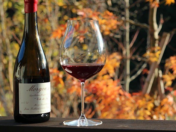 【リーデル/RIEDEL / GOODS】のRiedel Veritas New World Pinot Noir / Nebbiolo / Rose Champagne / リーデル・ヴェリタス ニューワールド・ピノ・ノワール / ネッビオーロ / ロゼ・シャンパーニュ 2脚セット 人気、トレンドファッション・服の通販 founy(ファニー) 　エレガント 上品　Elegant　クリスタル　Crystal　グラス　Glass　軽量　Lightweight　テーブル　Table　ハンド　Hand　バランス　Balance　送料無料　Free Shipping　other-6|ID: prp329100003016994 ipo3291000000031497109
