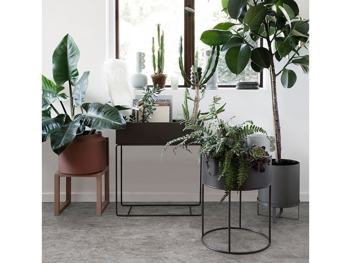 【ファームリビング/ferm LIVING / GOODS】のPlant Box Round / プラントボックス ラウンド 人気、トレンドファッション・服の通販 founy(ファニー) 　送料無料　Free Shipping　シンプル　Simple　スタンド　Stand　スリム　Slim　フレーム　Flame　ボックス　Box　ラウンド　Round　ホーム・キャンプ・アウトドア・お取り寄せ　Home,Garden,Outdoor,Camping Gear　家具・インテリア　Furniture　その他 インテリア雑貨、家具　Furniture, Interior, Others　other-5|ID: prp329100003129332 ipo3291000000031494490
