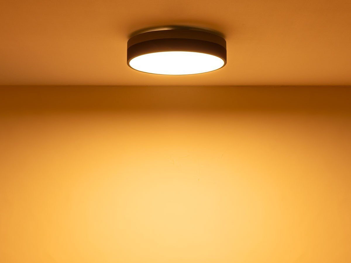 【フライミー ヴェール/FLYMEe vert / GOODS】のCEILING LIGHT / シーリングライト #113682 インテリア・キッズ・メンズ・レディースファッション・服の通販 founy(ファニー) 　送料無料　Free Shipping　オレンジ　Orange　シンプル　Simple　スリム　Slim　ラウンド　Round　リラックス　Relax　ホーム・キャンプ・アウトドア・お取り寄せ　Home,Garden,Outdoor,Camping Gear　家具・インテリア　Furniture　ライト・照明　Lighting & Light Fixtures　シーリングライト　Ceiling Light　電球色(オレンジ色)|ID: prp329100003257466 ipo3291000000026286214