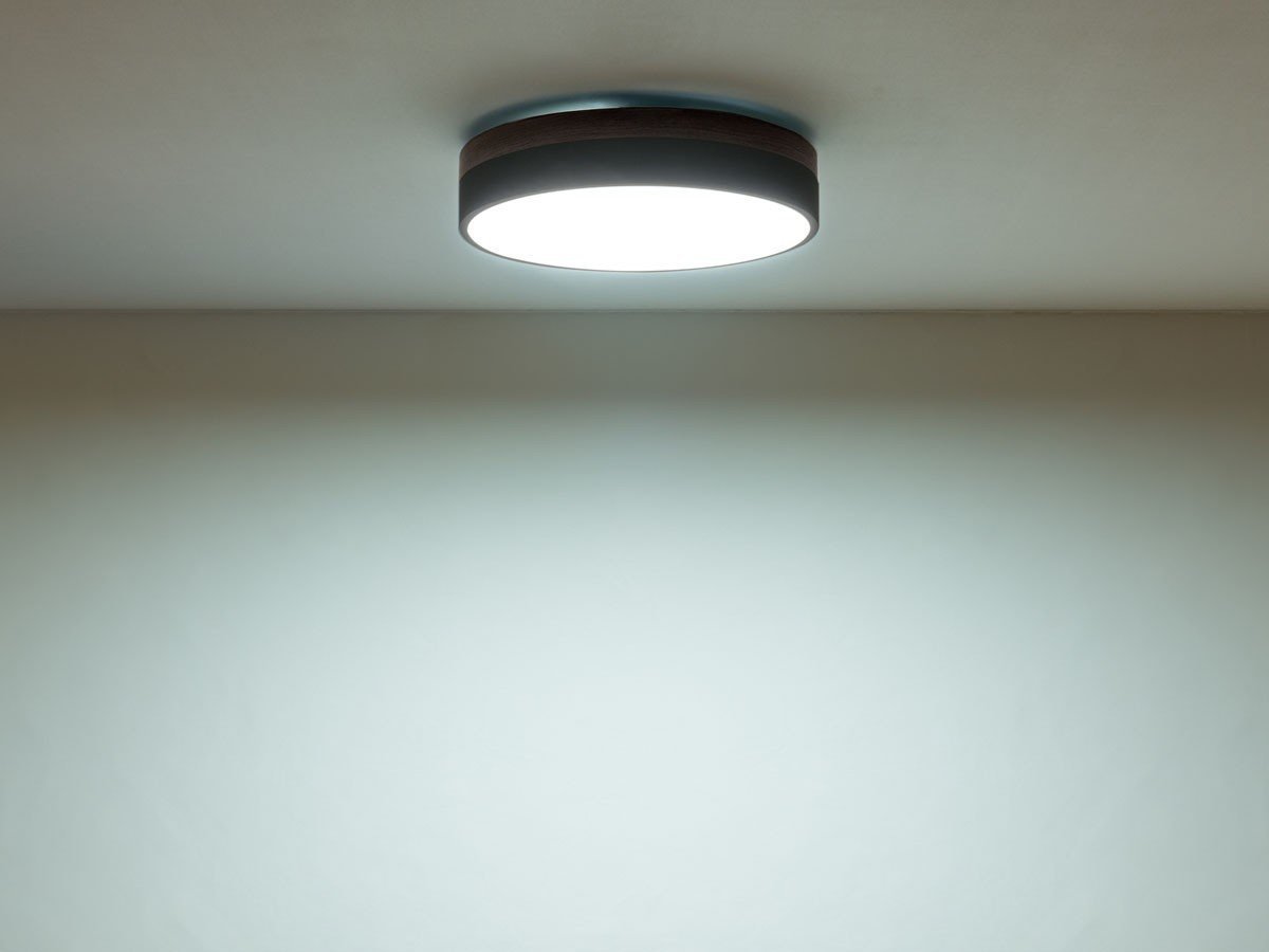 【フライミー ヴェール/FLYMEe vert / GOODS】のCEILING LIGHT / シーリングライト #113682 インテリア・キッズ・メンズ・レディースファッション・服の通販 founy(ファニー) 　送料無料　Free Shipping　オレンジ　Orange　シンプル　Simple　スリム　Slim　ラウンド　Round　リラックス　Relax　ホーム・キャンプ・アウトドア・お取り寄せ　Home,Garden,Outdoor,Camping Gear　家具・インテリア　Furniture　ライト・照明　Lighting & Light Fixtures　シーリングライト　Ceiling Light　昼光色(ホワイト色)|ID: prp329100003257466 ipo3291000000026286217