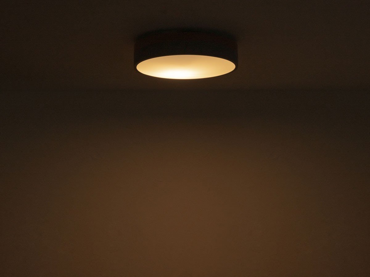 【フライミー ヴェール/FLYMEe vert / GOODS】のCEILING LIGHT / シーリングライト #113682 インテリア・キッズ・メンズ・レディースファッション・服の通販 founy(ファニー) 　送料無料　Free Shipping　オレンジ　Orange　シンプル　Simple　スリム　Slim　ラウンド　Round　リラックス　Relax　ホーム・キャンプ・アウトドア・お取り寄せ　Home,Garden,Outdoor,Camping Gear　家具・インテリア　Furniture　ライト・照明　Lighting & Light Fixtures　シーリングライト　Ceiling Light　常夜灯|ID: prp329100003257466 ipo3291000000030254127
