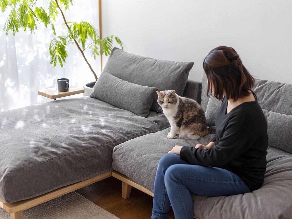 【フミ/Fumi / GOODS】の幸せになるソファ +pet / 幸せになるソファ ワイド + ロング(ペット対応生地) インテリア・キッズ・メンズ・レディースファッション・服の通販 founy(ファニー) 　クッション　Cushion　スウェード　Suede　スマート　Smart　テーブル　Table　フェザー　Feather　フェルト　Felt　ロング　Long　ワイド　Wide　おすすめ　Recommend　ホーム・キャンプ・アウトドア・お取り寄せ　Home,Garden,Outdoor,Camping Gear　家具・インテリア　Furniture　その他 インテリア雑貨、家具　Furniture, Interior, Others　参考イメージ|ID: prp329100003257467 ipo3291000000030254227