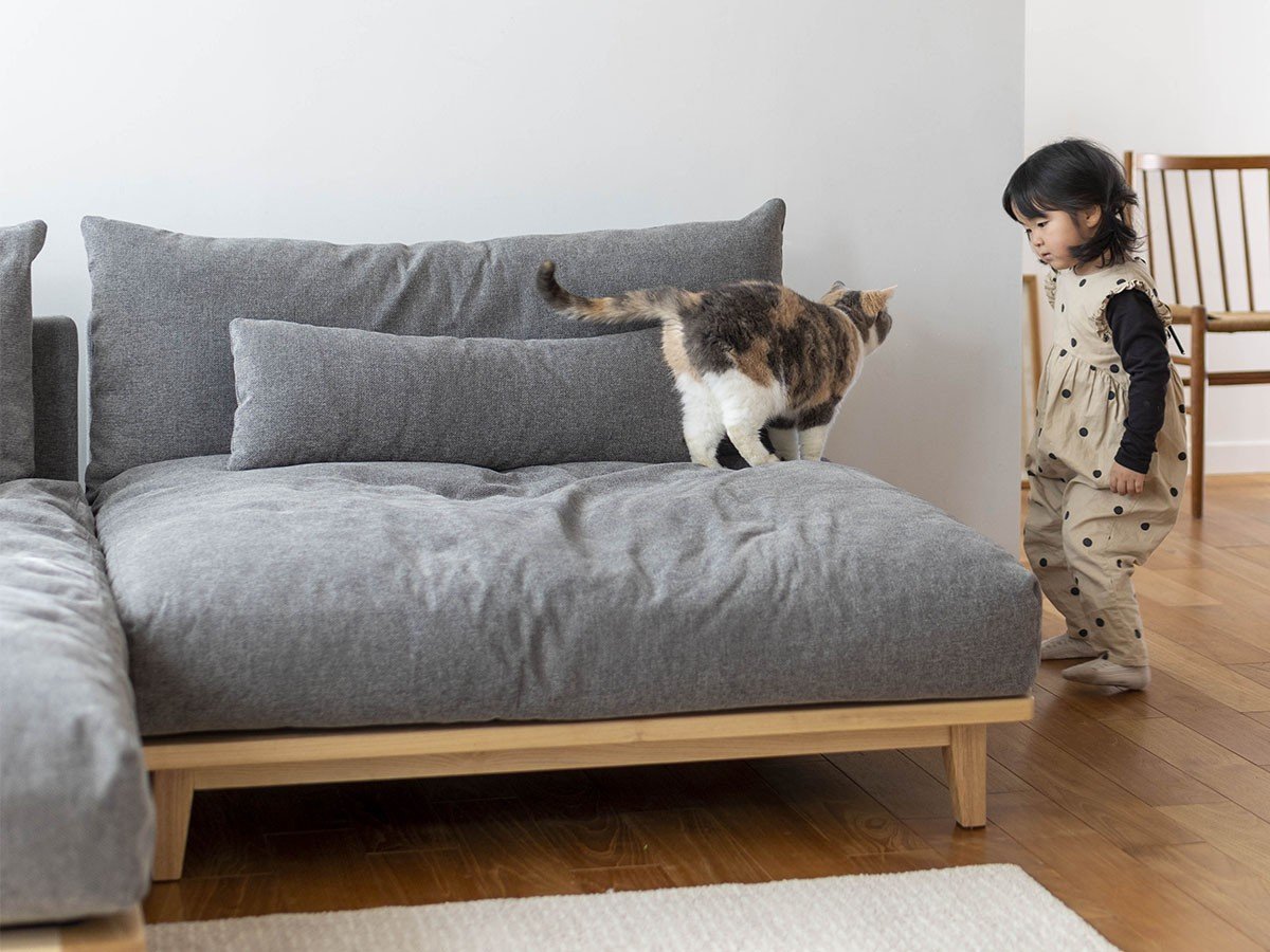【フミ/Fumi / GOODS】の幸せになるソファ +pet / 幸せになるソファ ワイド + ロング(ペット対応生地) インテリア・キッズ・メンズ・レディースファッション・服の通販 founy(ファニー) 　クッション　Cushion　スウェード　Suede　スマート　Smart　テーブル　Table　フェザー　Feather　フェルト　Felt　ロング　Long　ワイド　Wide　おすすめ　Recommend　ホーム・キャンプ・アウトドア・お取り寄せ　Home,Garden,Outdoor,Camping Gear　家具・インテリア　Furniture　その他 インテリア雑貨、家具　Furniture, Interior, Others　参考イメージ|ID: prp329100003257467 ipo3291000000030254241