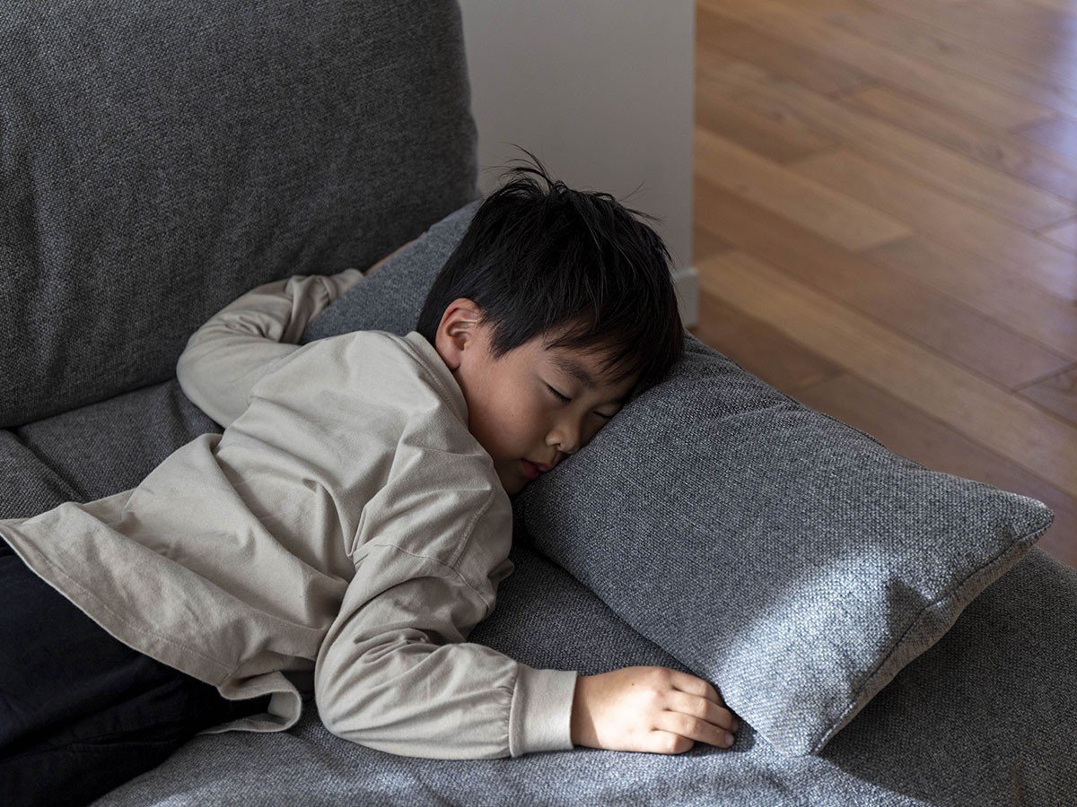 【フミ/Fumi / GOODS】の幸せになるソファ +pet / 幸せになるソファ ワイド + ロング(ペット対応生地) インテリア・キッズ・メンズ・レディースファッション・服の通販 founy(ファニー) 　クッション　Cushion　スウェード　Suede　スマート　Smart　テーブル　Table　フェザー　Feather　フェルト　Felt　ロング　Long　ワイド　Wide　おすすめ　Recommend　ホーム・キャンプ・アウトドア・お取り寄せ　Home,Garden,Outdoor,Camping Gear　家具・インテリア　Furniture　その他 インテリア雑貨、家具　Furniture, Interior, Others　参考イメージ|ID: prp329100003257467 ipo3291000000030254257