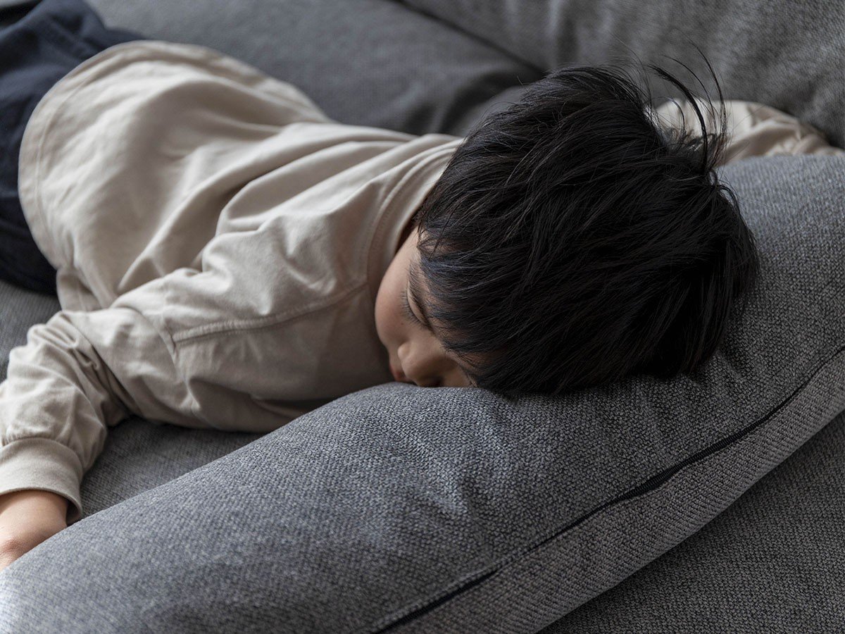 【フミ/Fumi / GOODS】の幸せになるソファ +pet / 幸せになるソファ ワイド + ロング(ペット対応生地) インテリア・キッズ・メンズ・レディースファッション・服の通販 founy(ファニー) 　クッション　Cushion　スウェード　Suede　スマート　Smart　テーブル　Table　フェザー　Feather　フェルト　Felt　ロング　Long　ワイド　Wide　おすすめ　Recommend　ホーム・キャンプ・アウトドア・お取り寄せ　Home,Garden,Outdoor,Camping Gear　家具・インテリア　Furniture　その他 インテリア雑貨、家具　Furniture, Interior, Others　参考イメージ|ID: prp329100003257467 ipo3291000000030254260