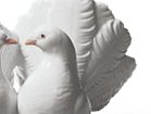 thumbnail other-3
