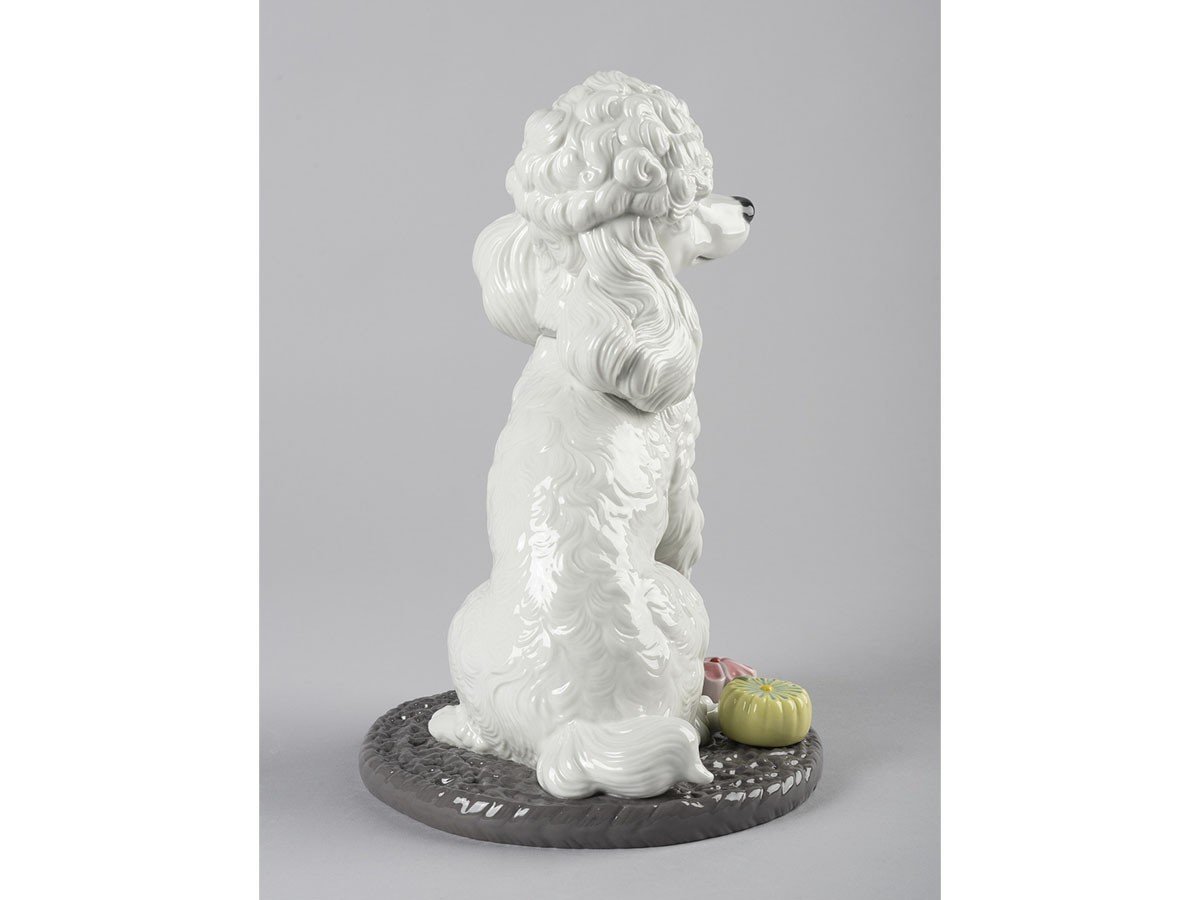 【リヤドロ/LLADRO / GOODS】のプードルのお茶会 / プードルのお茶会 人気、トレンドファッション・服の通販 founy(ファニー) 　送料無料　Free Shipping　コレクション　Collection　犬　Dog　other-5|ID: prp329100003325080 ipo3291000000031490449