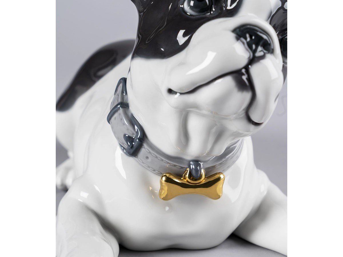 【リヤドロ/LLADRO / GOODS】のフレンチブルドッグとマカロン / フレンチブルドッグとマカロン 人気、トレンドファッション・服の通販 founy(ファニー) 　送料無料　Free Shipping　コレクション　Collection　フレンチ　French　犬　Dog　other-5|ID: prp329100003325082 ipo3291000000031490459