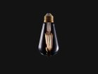 【フライミー ファクトリー/FLYMEe Factory / GOODS】のCeiling Lamp / シーリングランプ #113695 付属電球:LED電球(BU-1169)|ID: prp329100003354428 ipo3291000000025302752