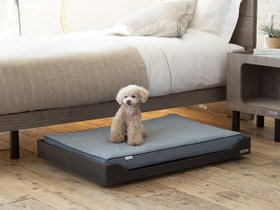 【フランスペット/FRANCE PET / GOODS】 Pet Bed Wagon inn / ペットベッド ワゴン イン人気、トレンドファッション・服の通販 founy(ファニー) 送料無料 Free Shipping ホーム・キャンプ・アウトドア・お取り寄せ Home,Garden,Outdoor,Camping Gear 家具・インテリア Furniture その他 インテリア雑貨、家具 Furniture, Interior, Others |ID:prp329100003558209