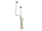 【ヘンリーディーン/Henry Dean / GOODS】のV.Pipe XL / V.パイプ XL(スタンダードカラー) ビジュー|ID: prp329100003620844 ipo3291000000033832727