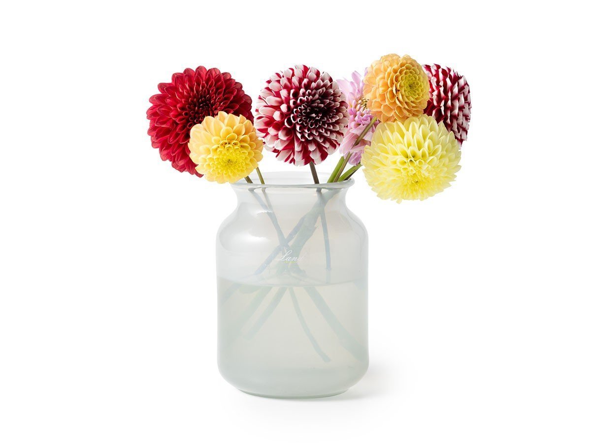 【ヘンリーディーン/Henry Dean / GOODS】のV.Bern H16 / V.ベルン H16(スタンダードカラー) インテリア・キッズ・メンズ・レディースファッション・服の通販 founy(ファニー) ガラス Glass, Glassware スタンダード Standard, Basic ハンド Hand, Handmade バランス Balance, Style Balance フラワー Flower, Floral ランダム Random, Irregular ホーム・キャンプ・アウトドア・お取り寄せ Home Living / Home & Lifestyle / Camping Gear / Outdoor Camping 家具・インテリア Home Furniture & Interior. Stylish & Functional Living Spaces その他 インテリア雑貨、家具 Home Decor & Furniture Extras グレー|ID: prp329100003620849 ipo3291000000033832741