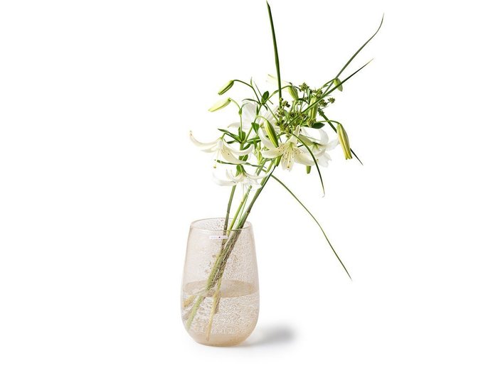 【ヘンリーディーン/Henry Dean / GOODS】のV.Stromboli S / V.ストロンボリ S(スタンダードカラー) インテリア・キッズ・メンズ・レディースファッション・服の通販 founy(ファニー) https://founy.com/ 送料無料 Free Shipping ガラス Glass, Glassware スタンダード Standard, Basic ハンド Hand, Handmade フォルム Silhouette, Form フラワー Flower, Floral ランダム Random, Irregular ホーム・キャンプ・アウトドア・お取り寄せ Home Living / Home & Lifestyle / Camping Gear / Outdoor Camping 家具・インテリア Home Furniture & Interior. Stylish & Functional Living Spaces その他 インテリア雑貨、家具 Home Decor & Furniture Extras |ID: prp329100003620852 ipo3291000000030464541